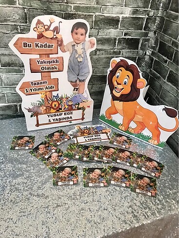  Beden Renk Safari Konsept