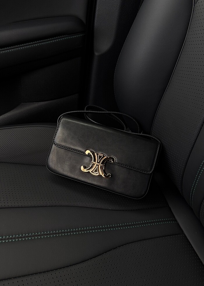 Celine Triomphe Askılı Kadın Çantası - Görsel 2