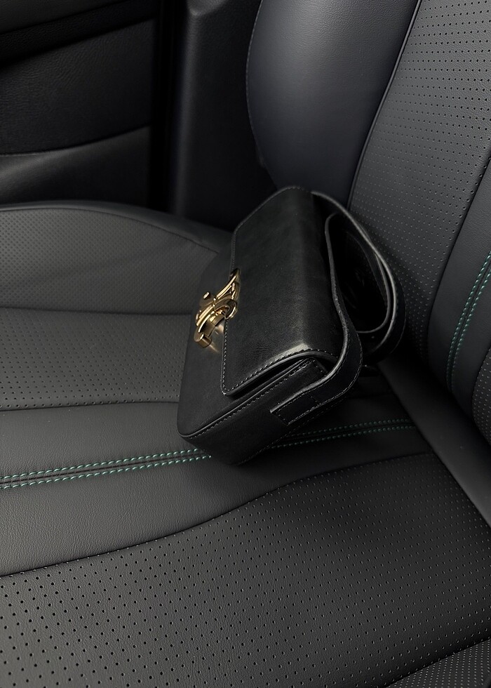 Celine Triomphe Askılı Kadın Çantası - Görsel 3