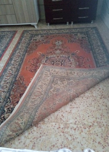 Beden Klasik Desenli Halı 4 metre kare çok ucuza satıyorum kaçırmayın