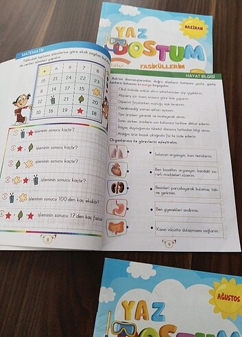 2.sinif kaynak kitabı - Görsel 8