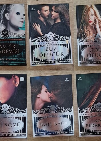 Vampir Akademisi Seri 