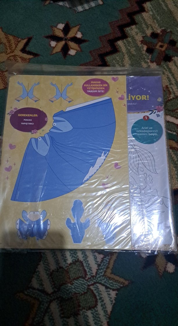 Disney Prenses dergi şenliği 2023 sayısı - Görsel 2