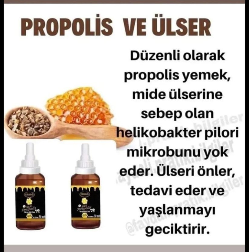 ERSAG Propolis Çocuk Ürünü Antibiyotiksiz - Görsel 2