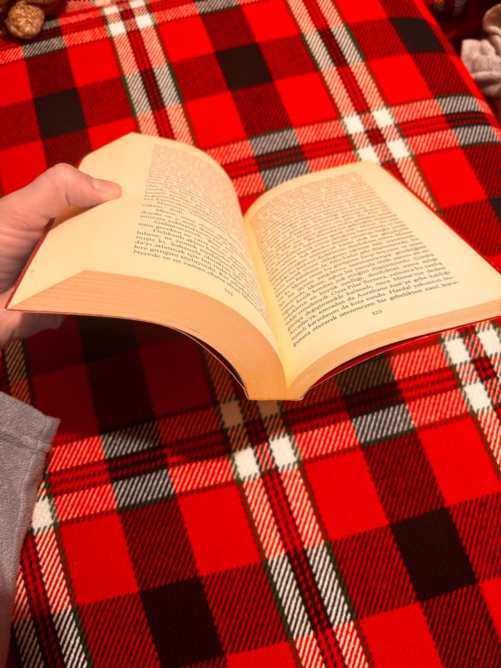 Gabriel García Márquez - Yüzyıllık Yalnızlık - Görsel 3