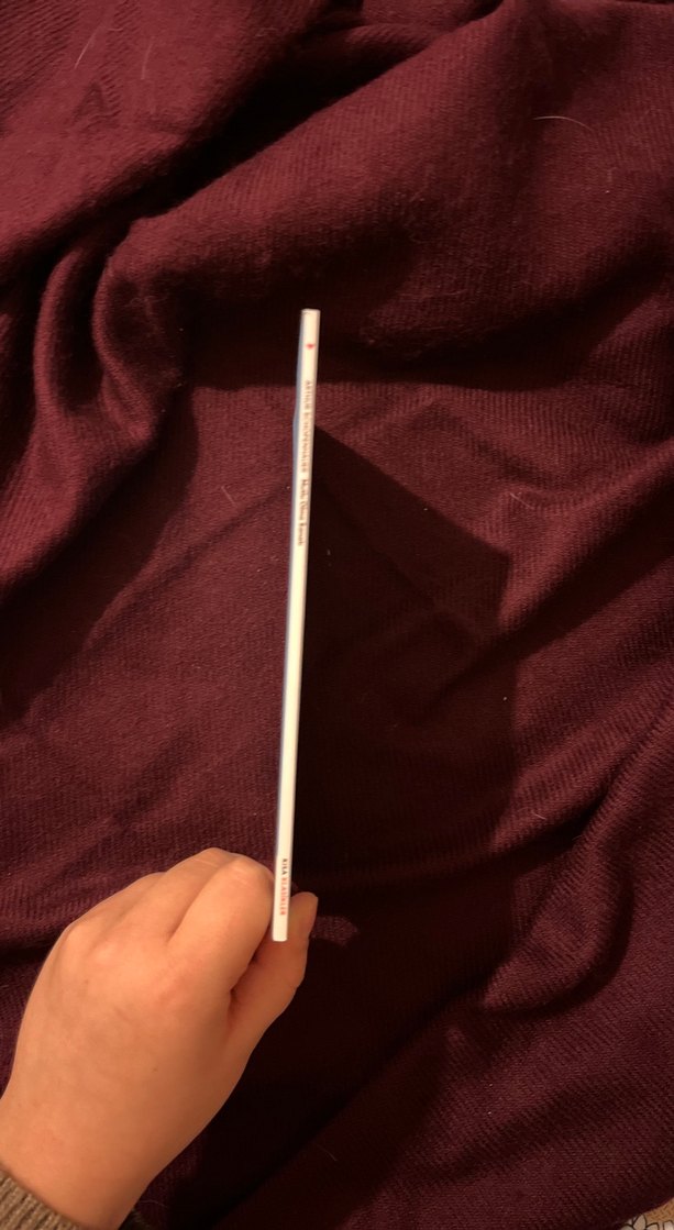 Arthur Schopenhauer - Mutlu Olma Sanatı - Görsel 2