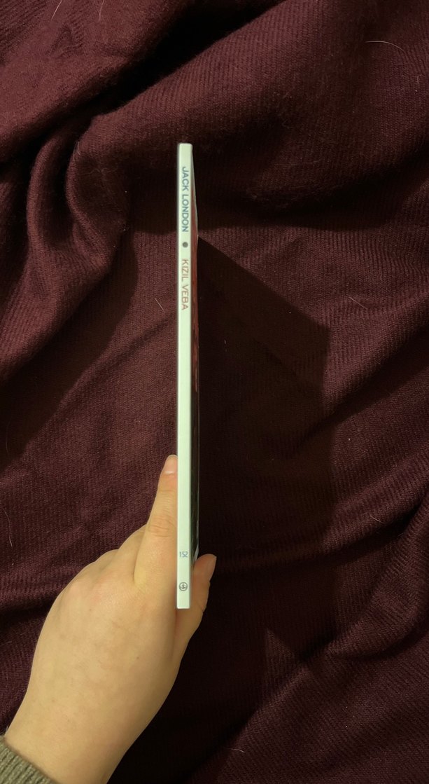 Jack London - Kızıl Veba Romanı - Görsel 2