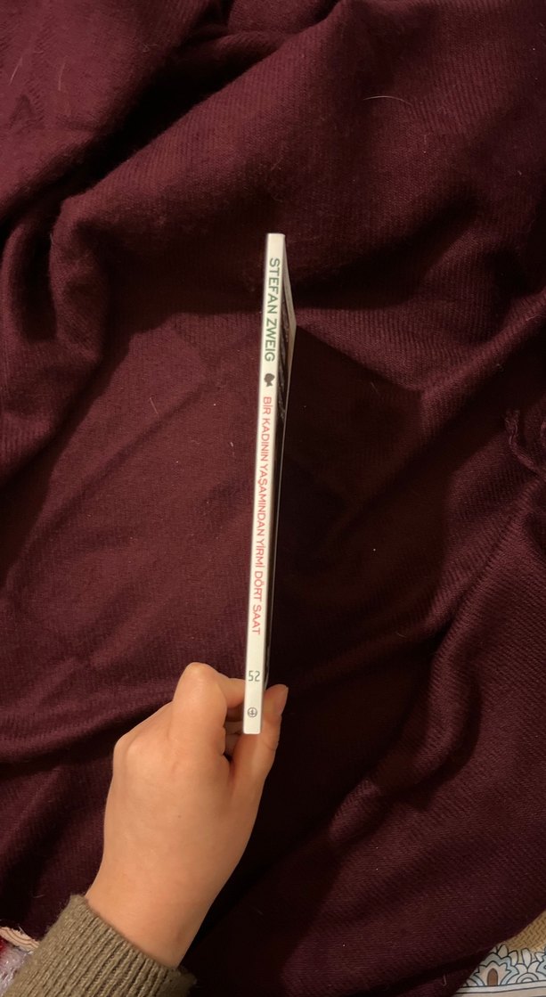 Bir Kadının Yaşamından Yirmi Dört Saat - Stefan Zweig - Görsel 2