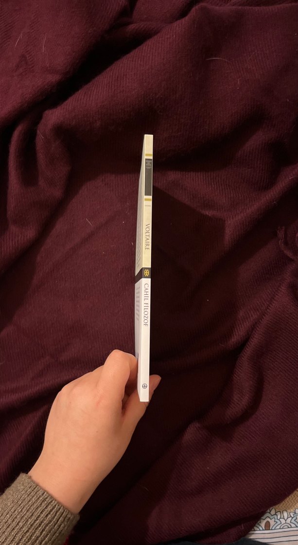 Voltaire - Cahil Filozof Roman - Görsel 2