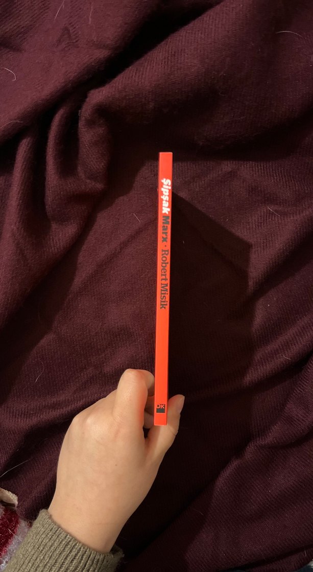 Şipşak Marx - Robert Misik Kitap - Görsel 2