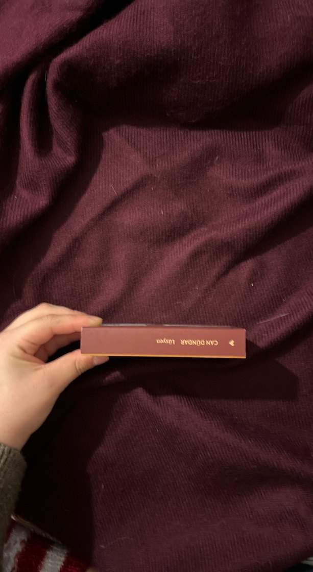 Can Dündar - Lüsiyen Romanı - Görsel 2