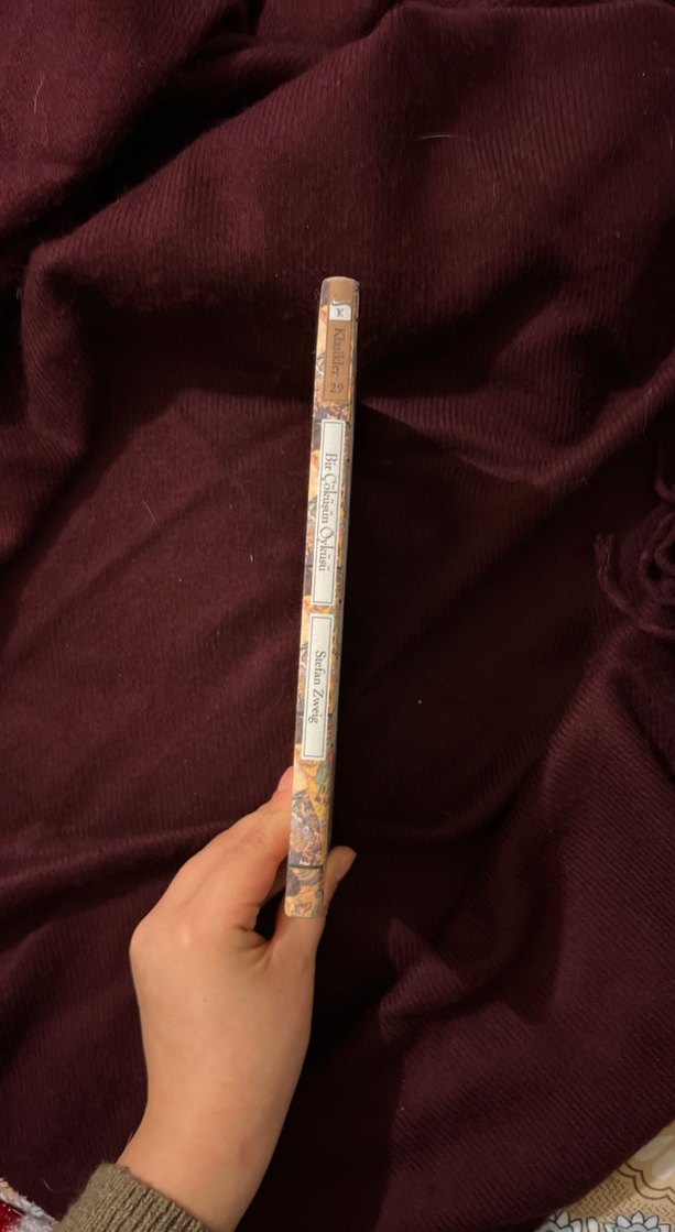 Bir Çöküşün Öyküsü - Stefan Zweig - Görsel 2