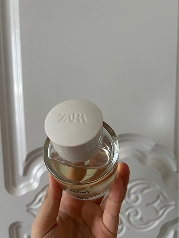  Beden Renk Zara peony parfüm