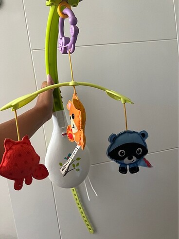  Beden Renk Fisher Price Dönence