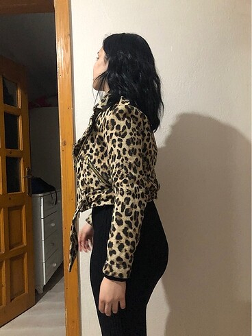 s Beden çeşitli Renk Ceket