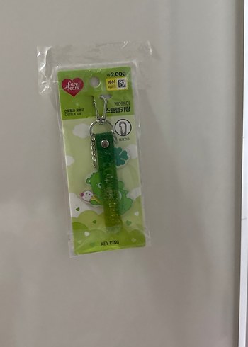 Yeşil Care Bears Anahtarlık