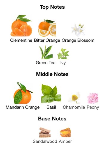 Guerlain Aqua Allegoria Mandarine Basilic 5 ml - Görsel 4