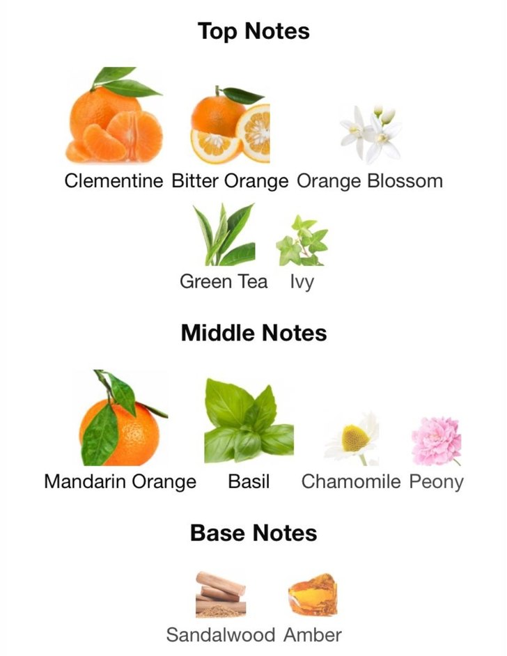 Guerlain Aqua Allegoria Mandarine Basilic 10 ml - Görsel 4