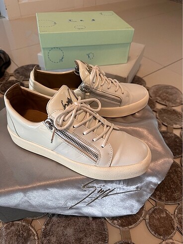 giuseppe zanotti