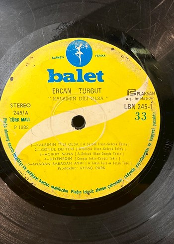 Ercan Turgut Plak - Görsel 2