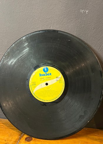 Ercan Turgut Plak - Görsel 5