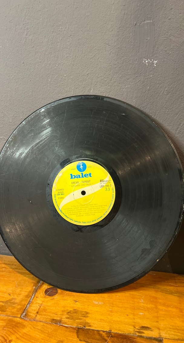 Ercan Turgut Plak - Görsel 5