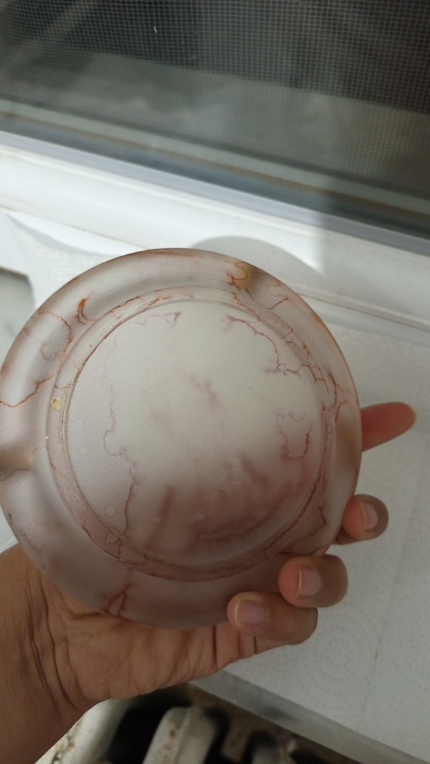 Vintage Rose Kül Tablası - Görsel 3