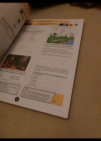 Coğrafya kurumsal ayt test - Görsel 3