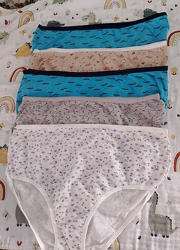 5li set 