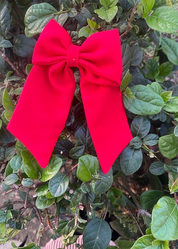 Kız Çocukları İçin Kırmızı ve Pembe Fiyonk Toka - Görsel 3