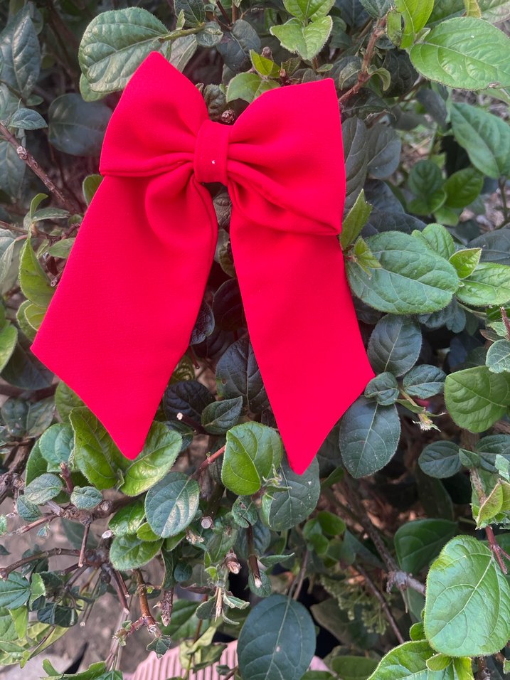 Kız Çocukları İçin Kırmızı ve Pembe Fiyonk Toka - Görsel 3