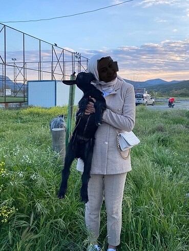 38 Beden Blazer takım