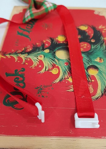 evcil hayvanlarınıza yılbaşı armağanı: kravat - Görsel 4