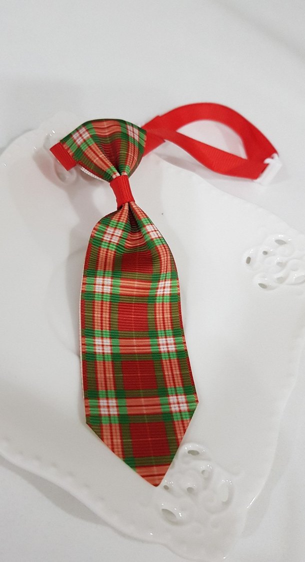 evcil hayvanlarınıza yılbaşı armağanı: kravat - Görsel 3