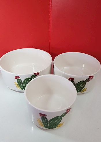 BENANTE kaktüs desenli, 3 boy seramik kase - Görsel 2