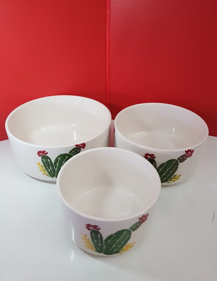 BENANTE kaktüs desenli, 3 boy seramik kase - Görsel 2