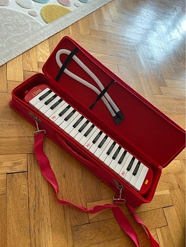 Melodika - Görsel 5