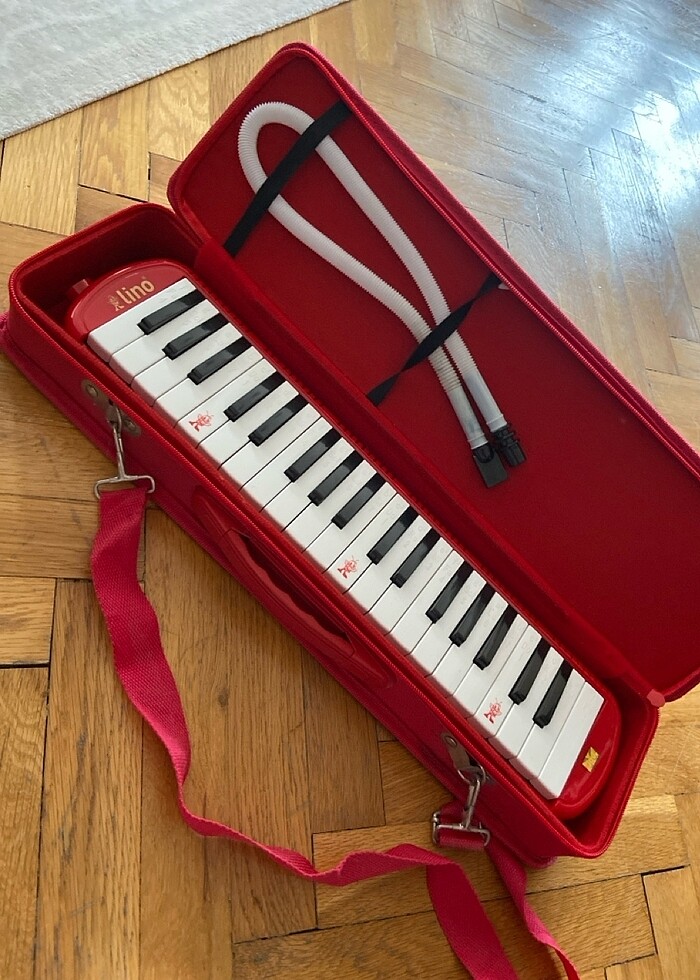 Melodika - Görsel 2