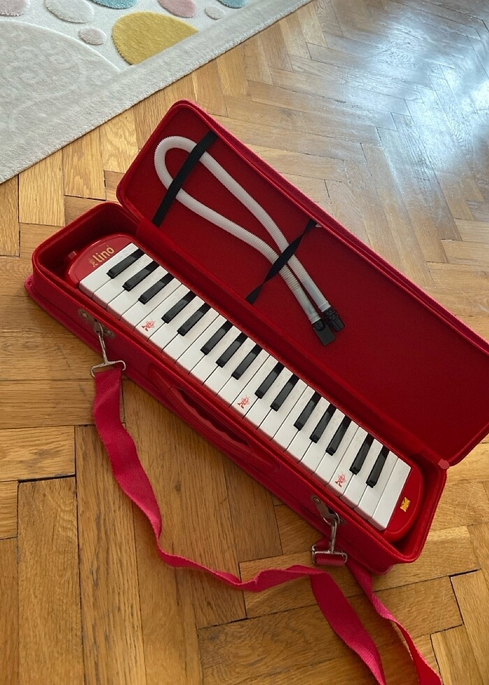 Melodika - Görsel 5