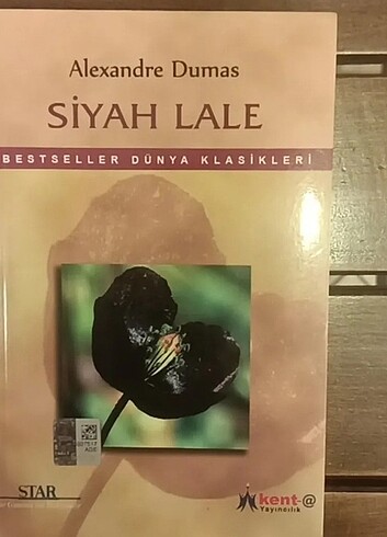 Siyah Lale 