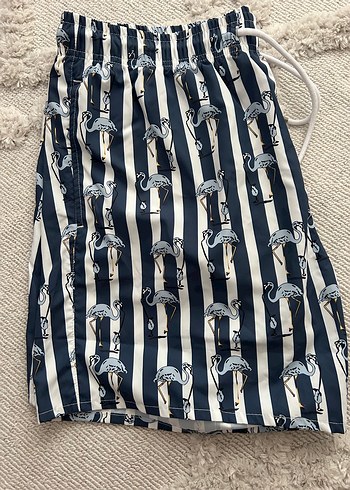 Lacivert Zebra Desenli Erkek Mini Şort - Görsel 2