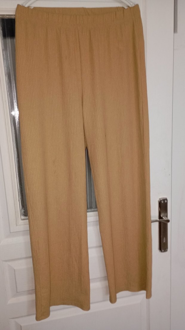 Bej Parlak Düz pantolan - Görsel 2