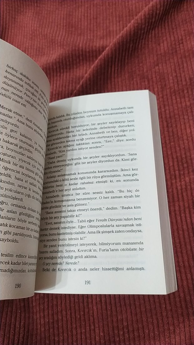 Percy Jackson ve Olimposlular - Şimşek Hırsızı - Görsel 3