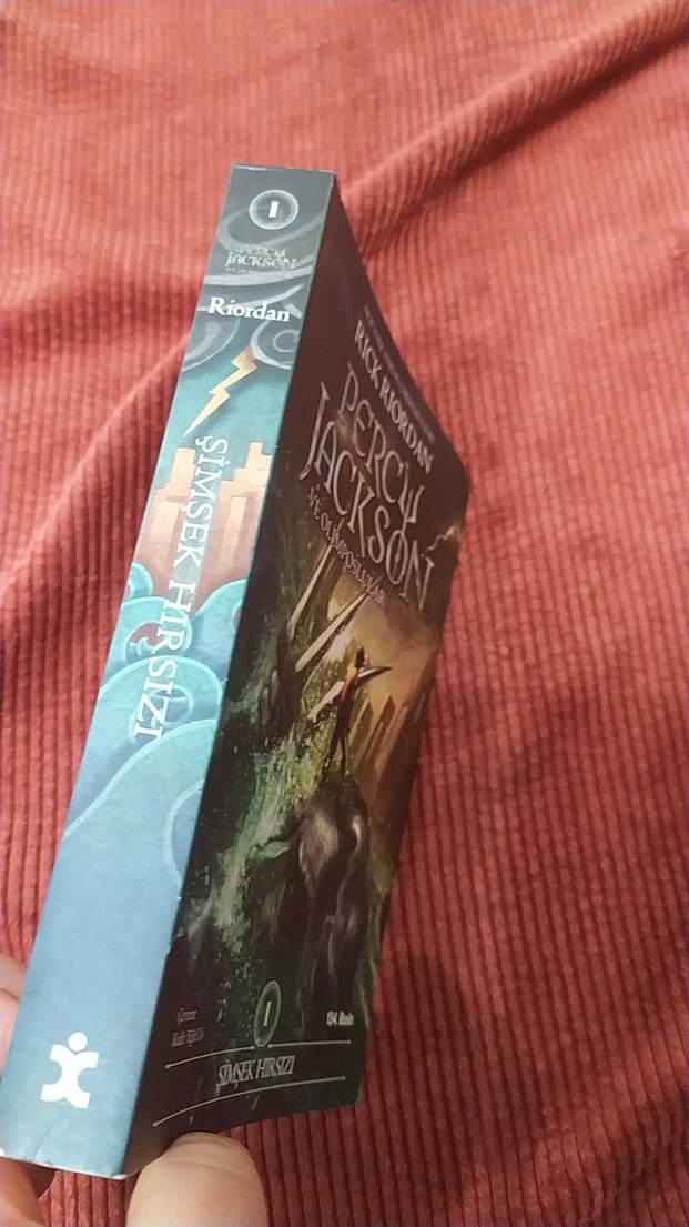 Percy Jackson ve Olimposlular - Şimşek Hırsızı - Görsel 2