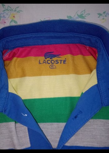 Lacoste Çizgili Erkek Polo Tişört - Görsel 2