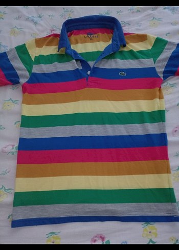 Lacoste xl