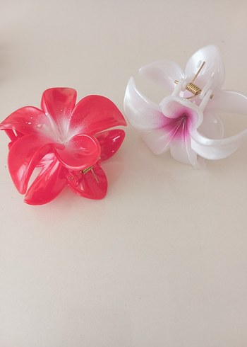 Diğer Renkli Plastik Saç Tokası Seti