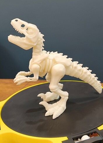 Diğer Hareketli Velociraptor Dinozor İskeleti