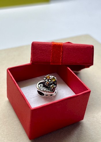 Pandora Gümüş Family Kalp Charm