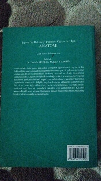 Anatomi